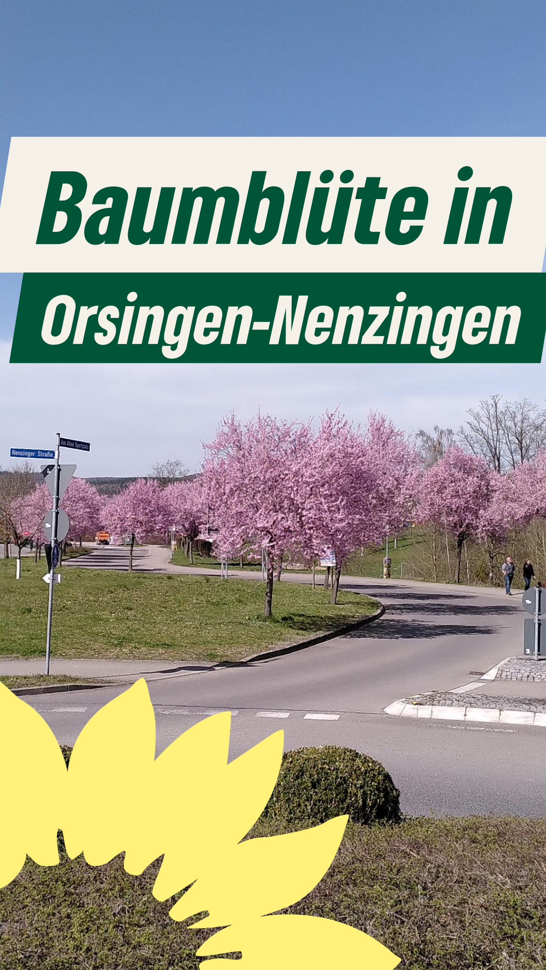 Die Baumblüte am Ortseingang Orsingen von Nenzingen her kommend